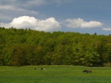 Vorschlag