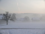Vorschlag