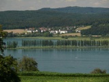Vorschlag