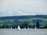 Vorschlag