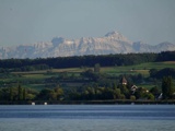 Vorschlag